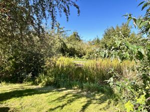 Canal- click for photo gallery